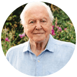David Attenborough David Attenborough